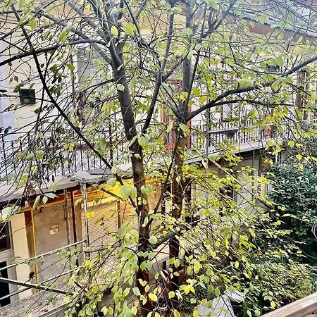 My Little Apartman
