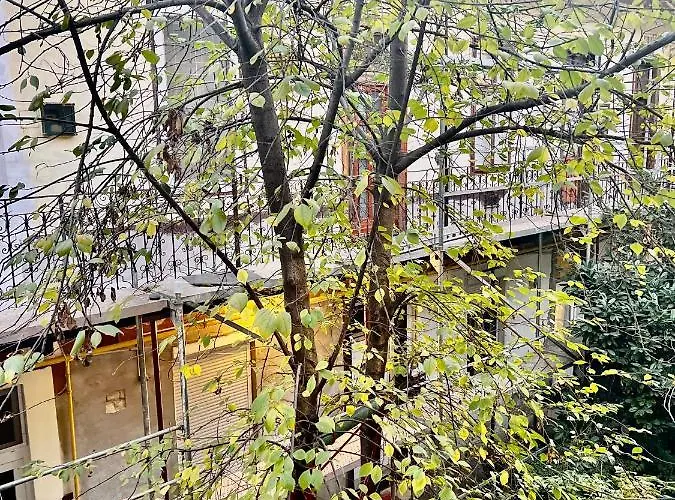 My Little Apartament